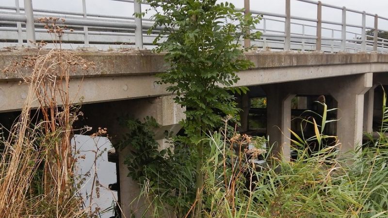 A photo of a bicycle bridge.