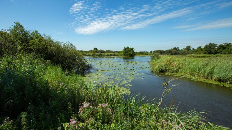Natuurgebied Alde Faenen, water met groene beplanting.
