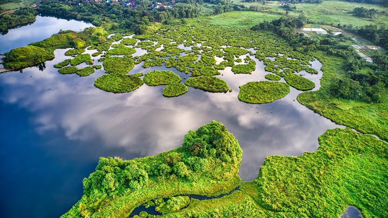 Een luchtfoto van een groen gebied met veel water.