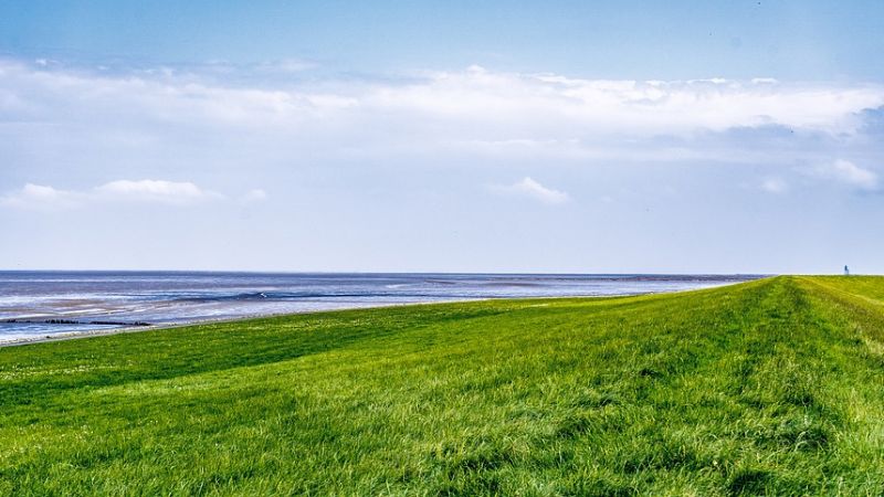 Een brede landschapsfoto van een groene dijk.
