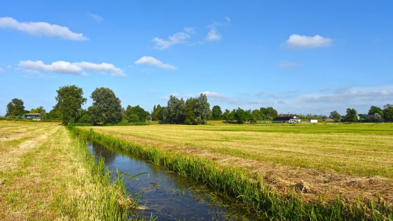 Een foto van een sloot in Nederland.