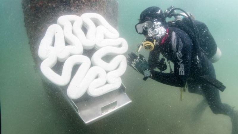 A photo taken underwater. You can see a diver and a coral fragment made with 3D concrete printing.