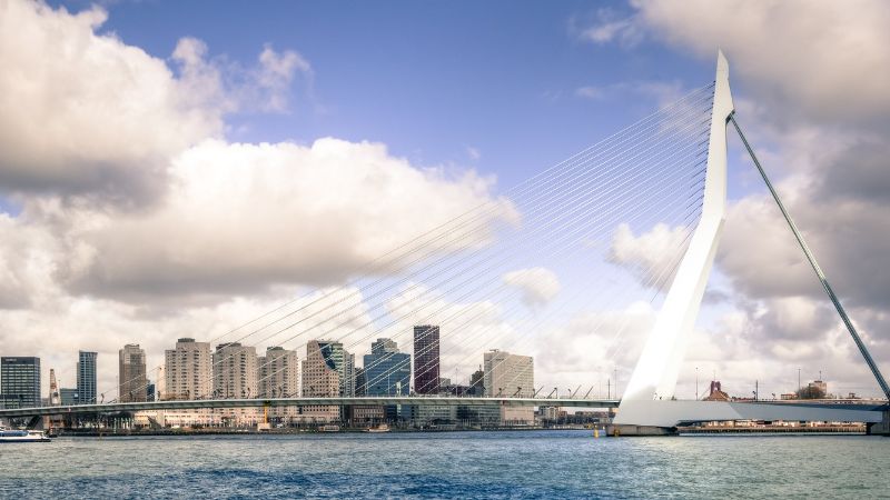 A photo of the Erasmus Bridge in Rotterdam on a sunny day.