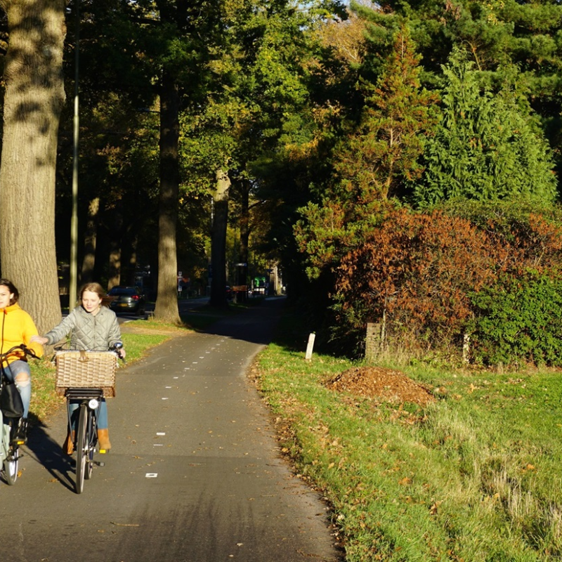 A photo of 2 young children riding their bicycles along an asphalted bike path next to a road.