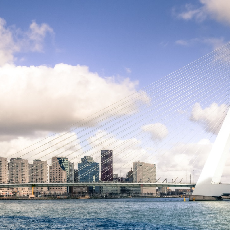 A photo of the Erasmus Bridge in Rotterdam on a sunny day.