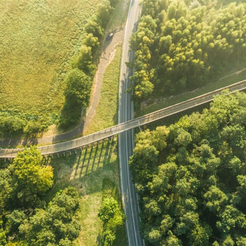 An aerial view of a road and a cycle bridge in a green setting.