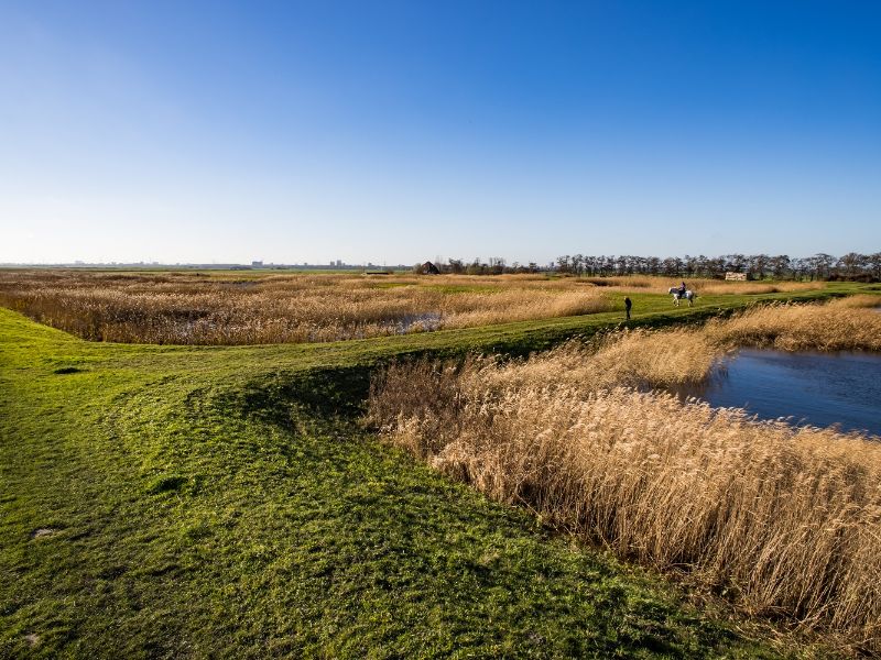 A photo of a polder.