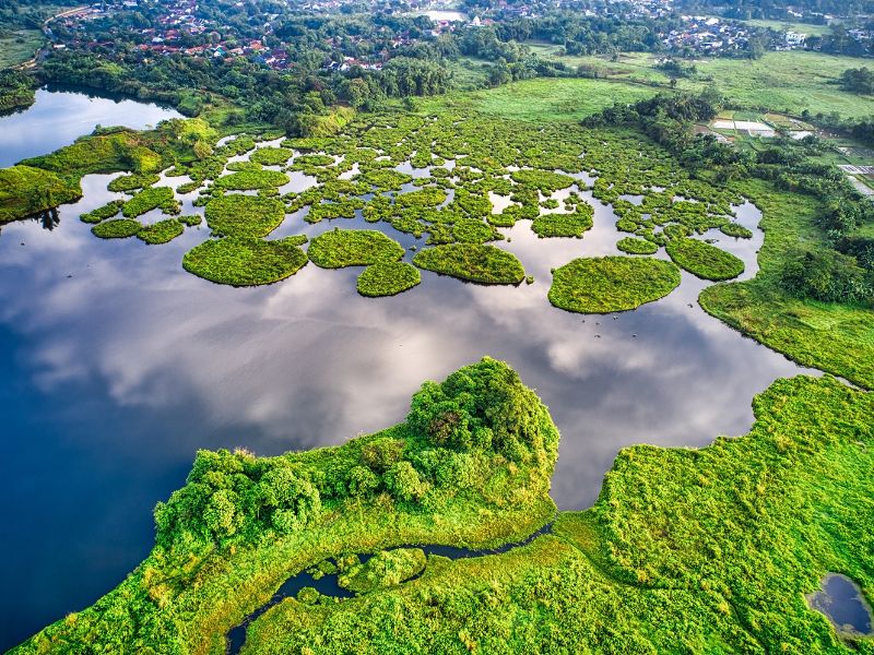 An aerial view of a green area with lots of water.