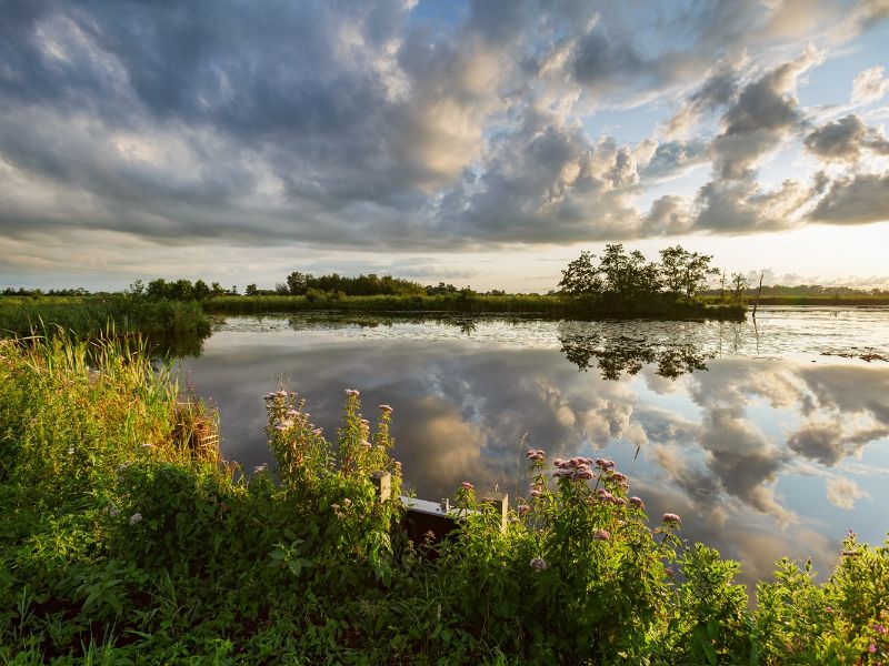 A photo from the Alde Feanen.