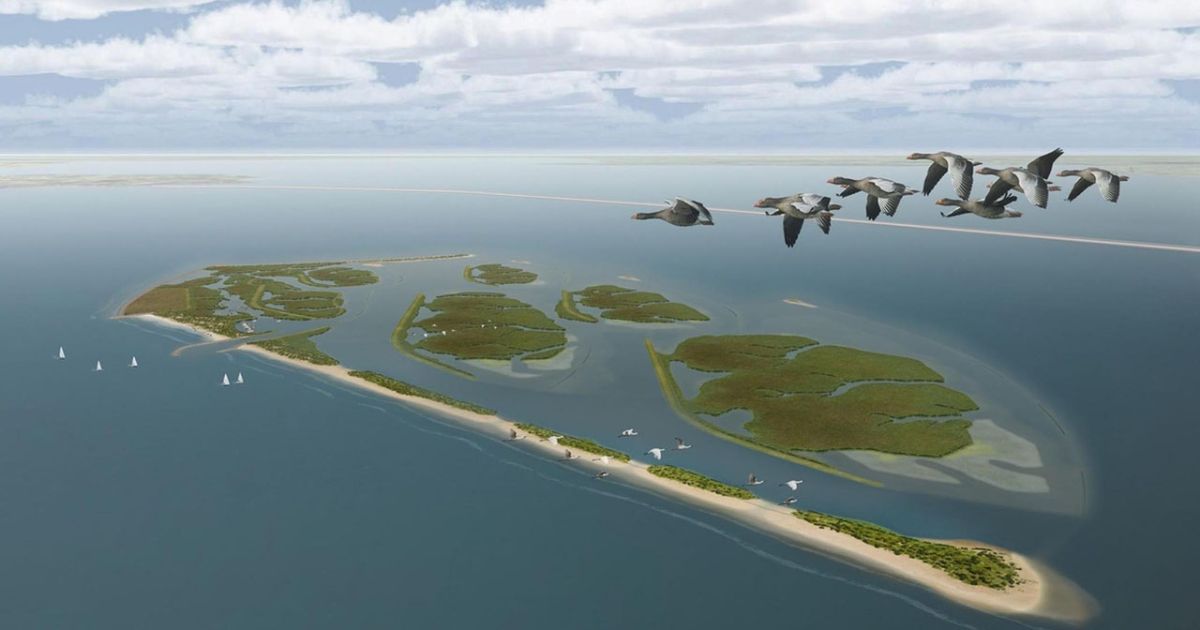 Work on Wadden | Witteveen+Bos